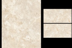 120-X-60-T-2