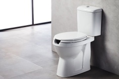 HANDYCAPPED-WC-FLOOR