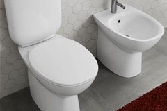 WC-1